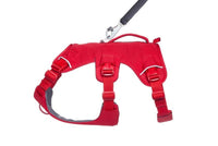 Thumbnail for Ruffwear WebMaster Dog Harness - Red Canyon Medium
