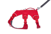 Thumbnail for Ruffwear WebMaster Dog Harness - Red Canyon Medium