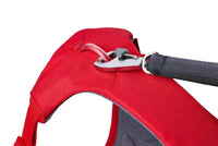 Thumbnail for Ruffwear WebMaster Dog Harness - Red Canyon Large/X-Large