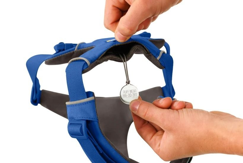 Ruffwear Front Range Padded Dog Harness - Blue Pool Large/X-Large