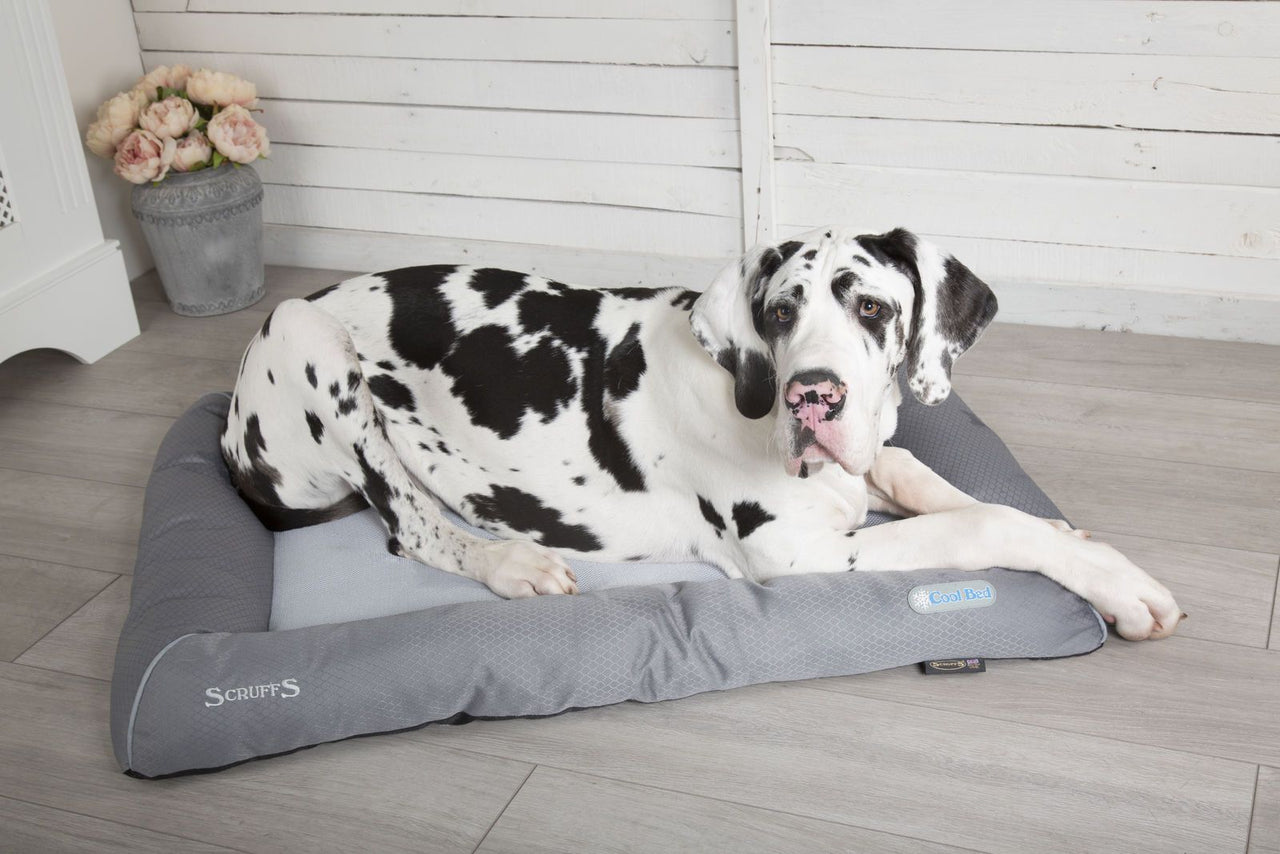 Scruffs Self-Cooling Dog Bed - MEDIUM