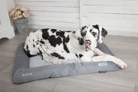 Thumbnail for Scruffs Self-Cooling Dog Bed - MEDIUM