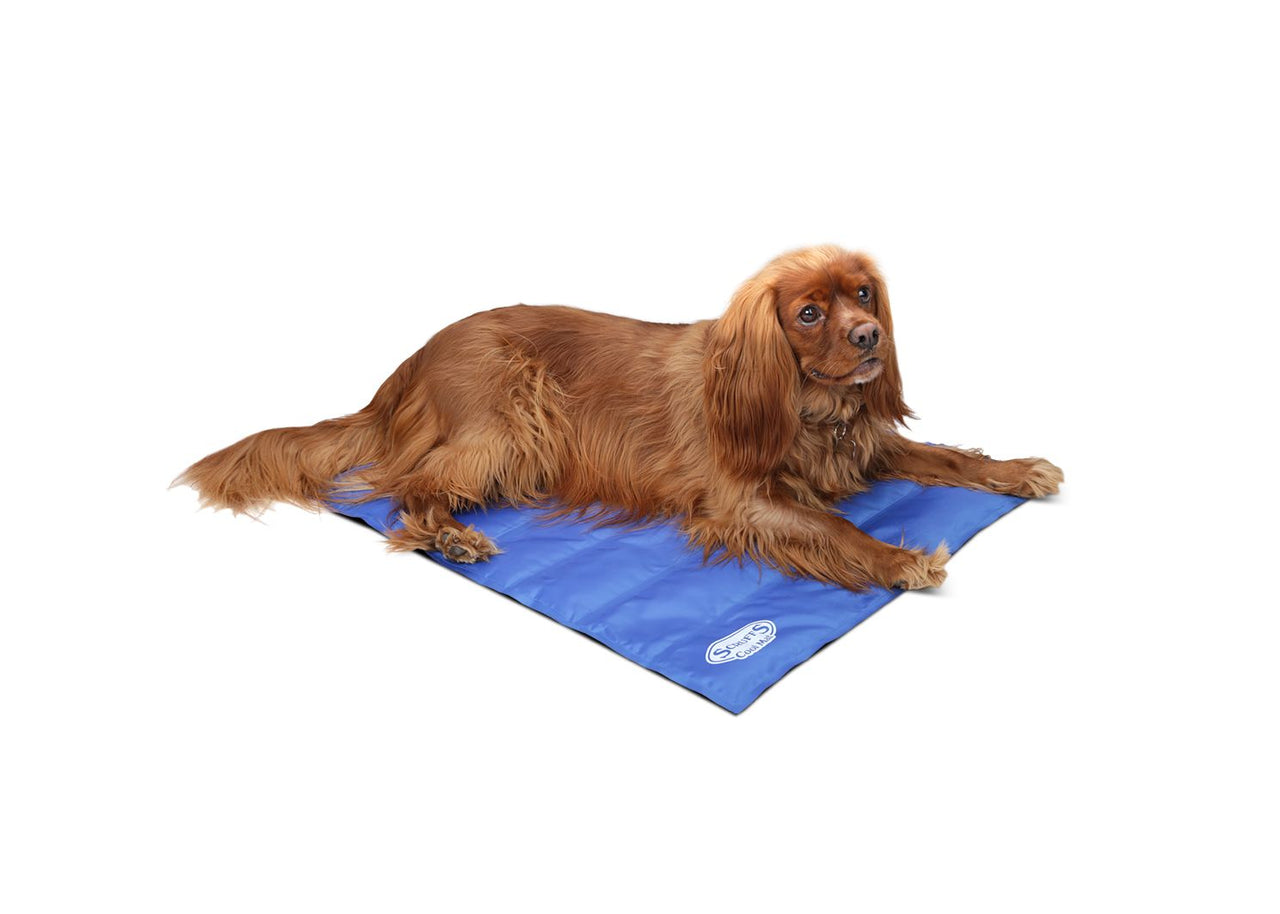 Scruffs Cool Dog Mat - Medium