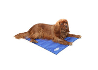 Thumbnail for Scruffs Cool Dog Mat - Medium