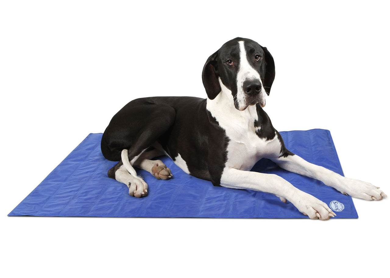 Scruffs Cool Dog Mat - X-Large