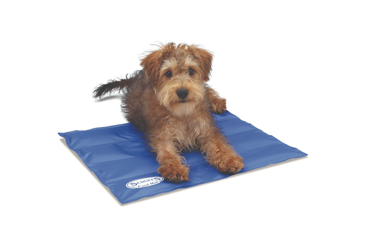 Scruffs Cool Dog Mat - Small