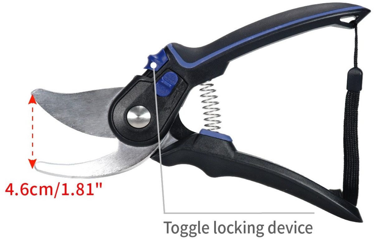 Coral Pruner