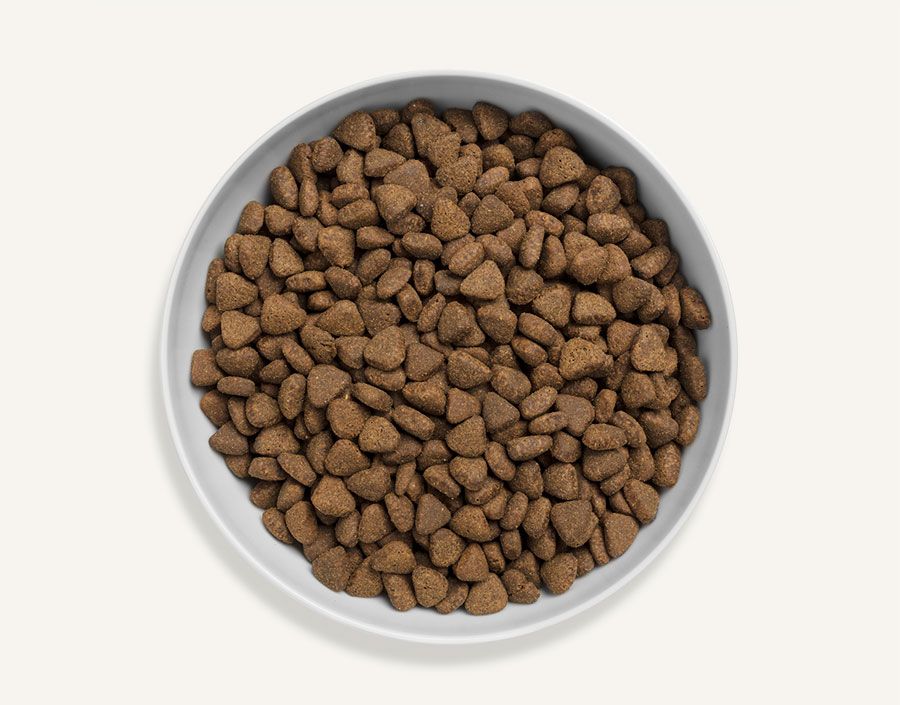 Canagan Country Game Dry Cat Food - 4KG