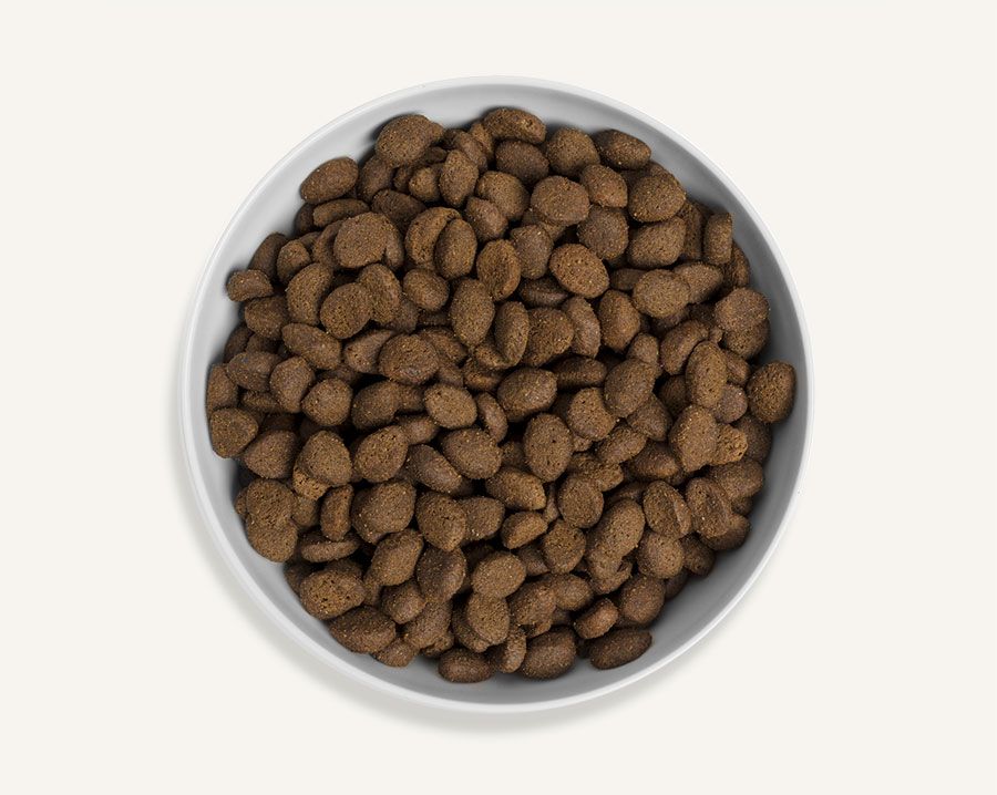 Canagan Country Game Dry Dog Food - 12kg