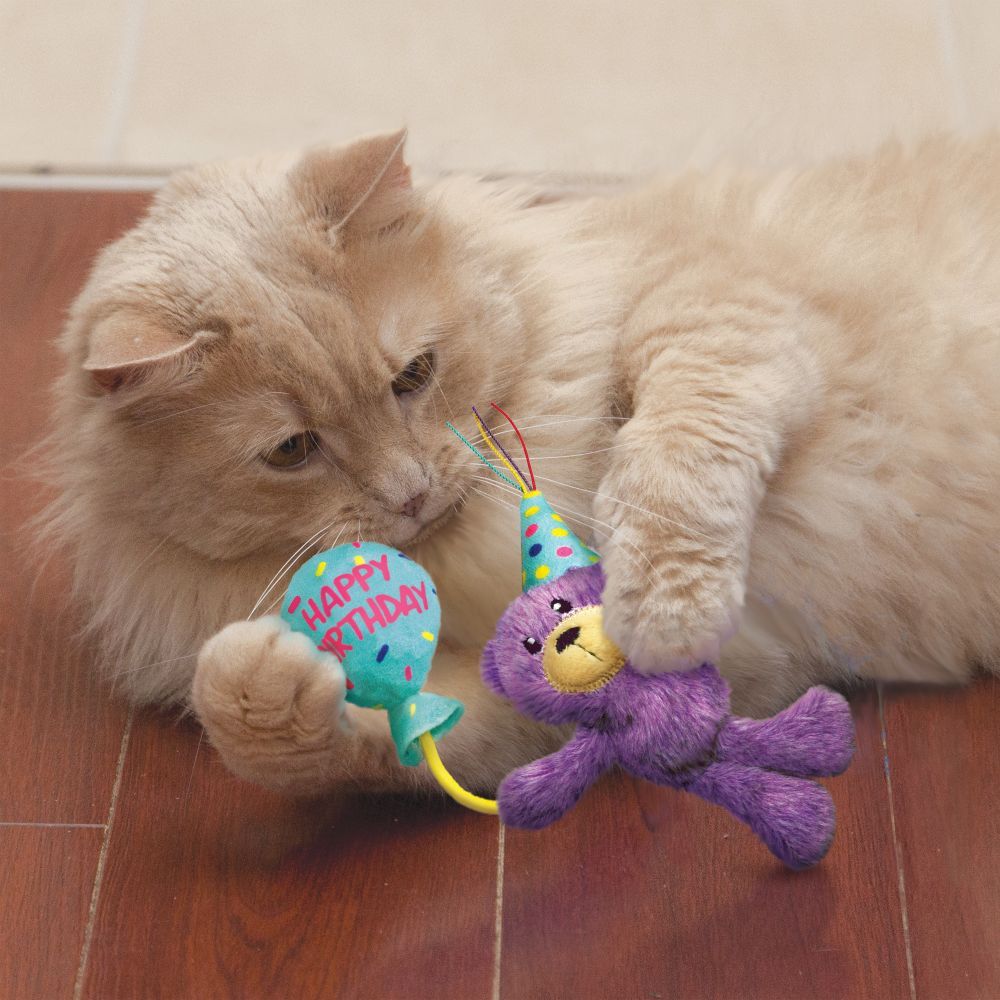 Kong Occasions Birthday Teddy Cat Toy -