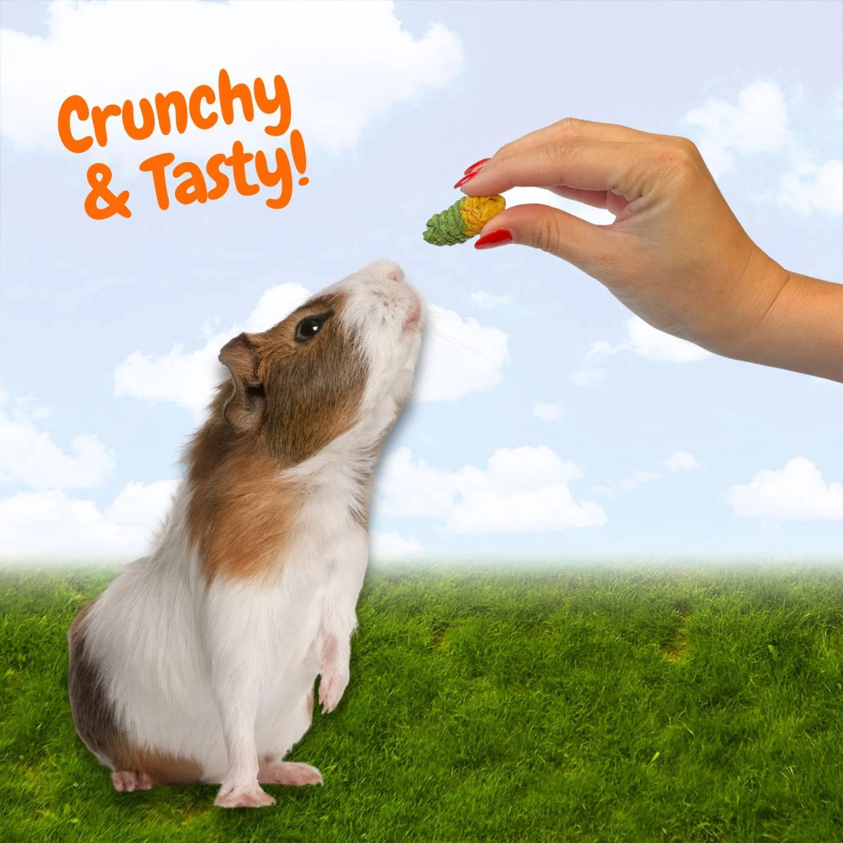 Crunchy Swirls 4.7 oz
