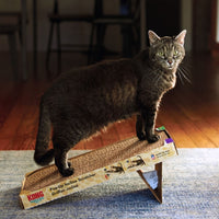 Thumbnail for Kong Naturals Pop-Up Incline Cat Scratcher -