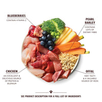 Thumbnail for Lily's Kitchen Chicken and Turkey Casserole with Carrots Squash and Pearl Barley Wet Dog Food 150g P - 150g