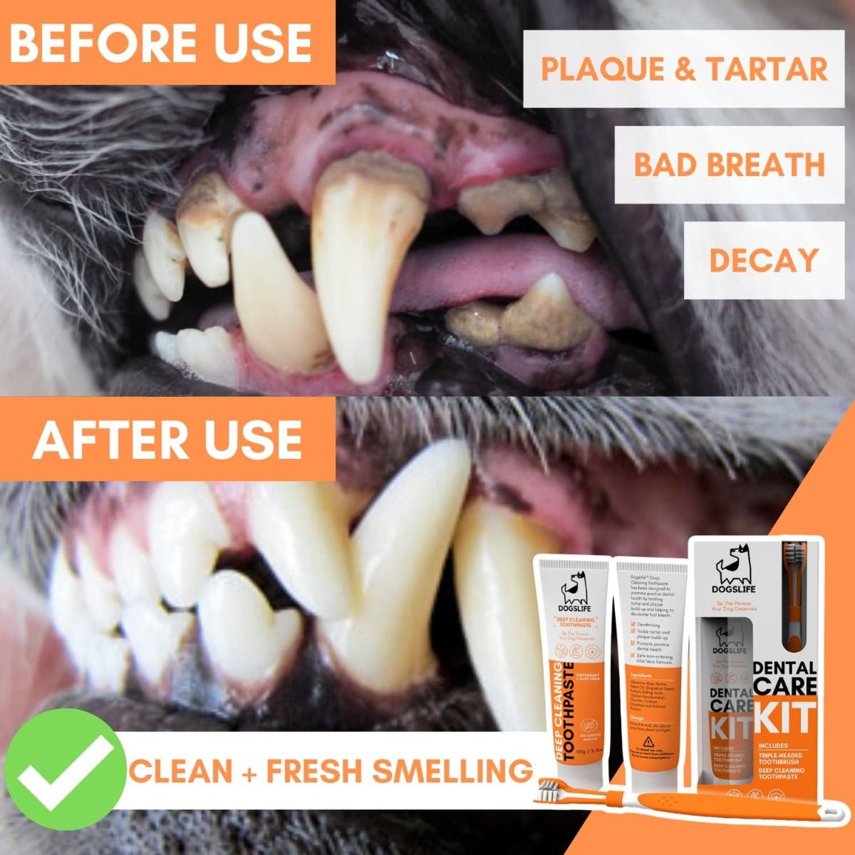 DogsLife Dog Dental Care Kit -