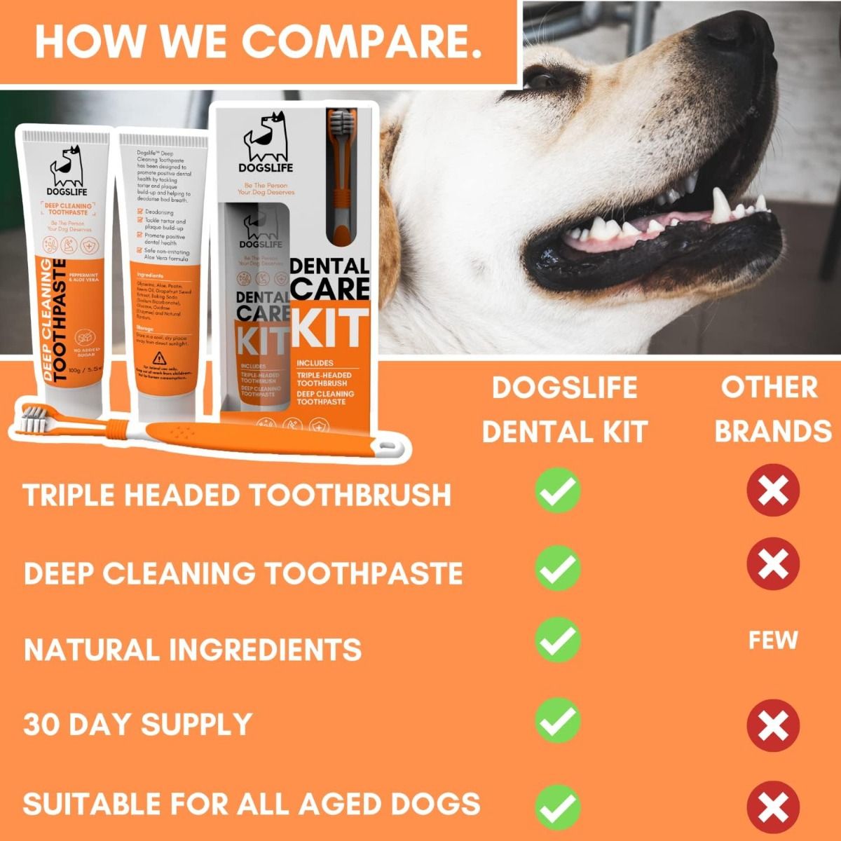 DogsLife Dog Dental Care Kit -