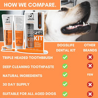 Thumbnail for DogsLife Dog Dental Care Kit -