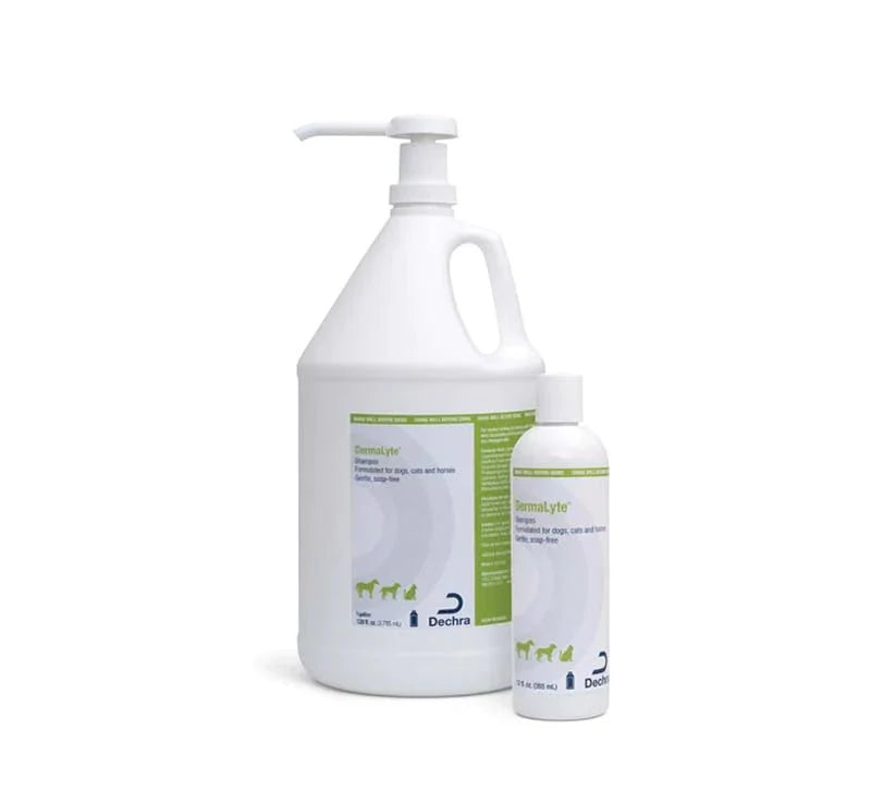 DermaLyte® Shampoo 355ml