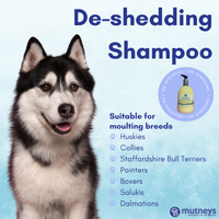 Thumbnail for De-Shedding Shampoo 5 L