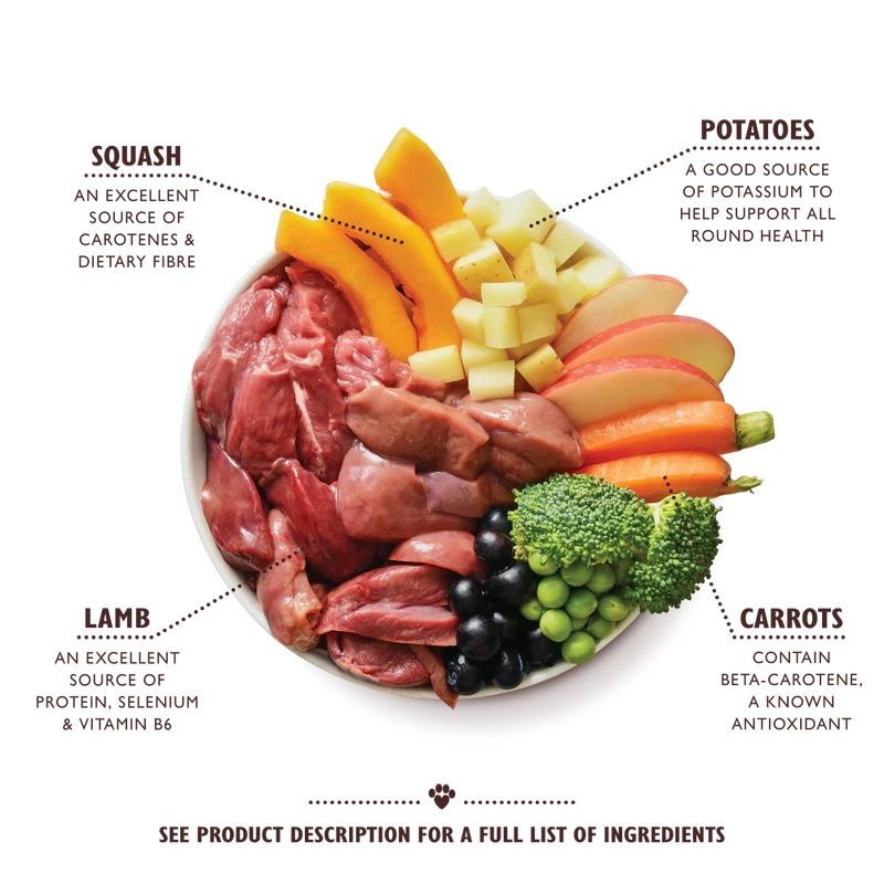 Lily's Kitchen Lamb Hotpot with Potatoes Squash and Carrots Wet Dog Food 400g Tin - 400g