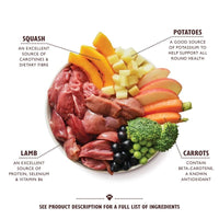 Thumbnail for Lily's Kitchen Lamb Hotpot with Potatoes Squash and Carrots Wet Dog Food 400g Tin - 400g