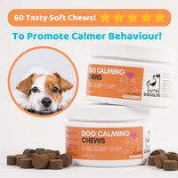 Thumbnail for DogsLife Calming Dog Chews 60 Tablets -