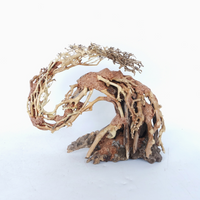 Dragon-like Wood Tree Small, 22x15x10 cm
