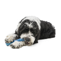 Drifty Seaflex Dog Toy - large - surf