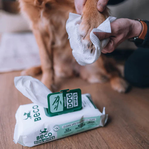 Beco Bamboo Unscented Dog Wipes -