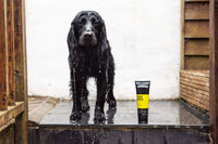 Animology Fox Poo Odour & Poo Remover Dog Shampoo 250ml - 250ml