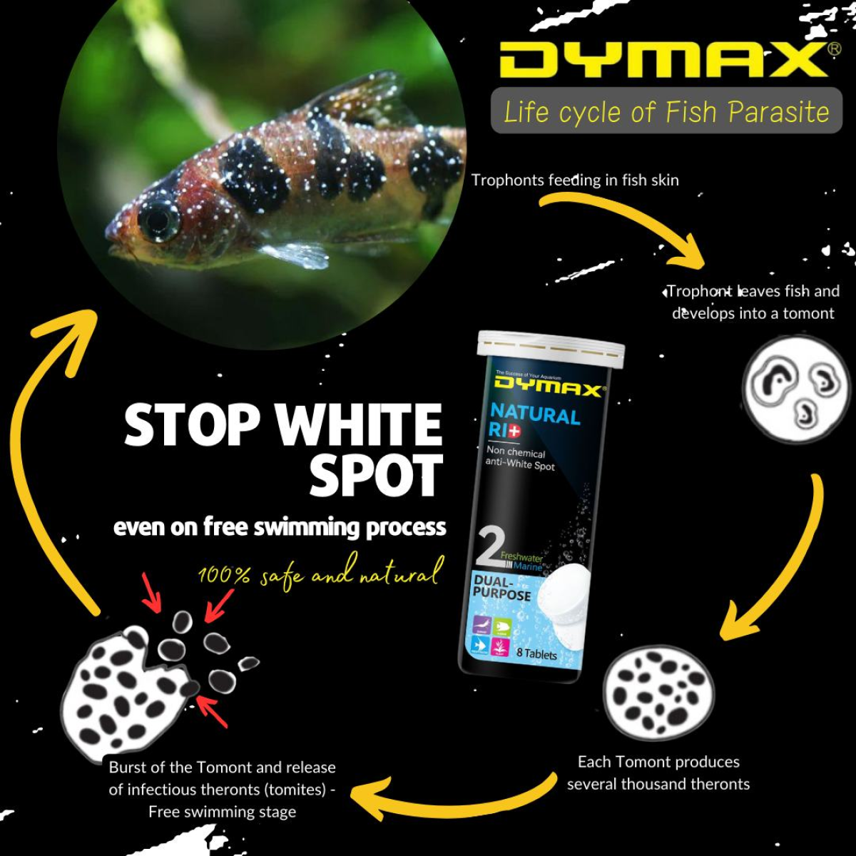 Dymax Natural Rid (8 Tablets/Box)