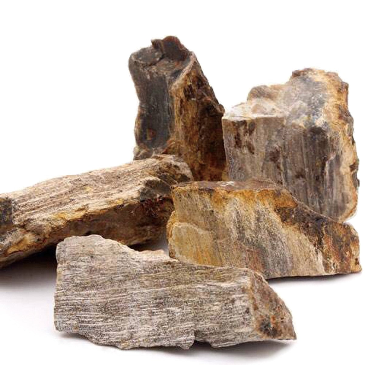 Wood Poit Rocks DYMAX WOOD GRAIN ROCK 25KG – VetForest.com
