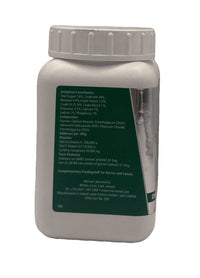 Energy 1000 Racing Energizer