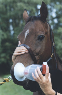 Thumbnail for Equine Haler, inhalation mask