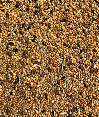 Thumbnail for Exotic Mix 20 KG