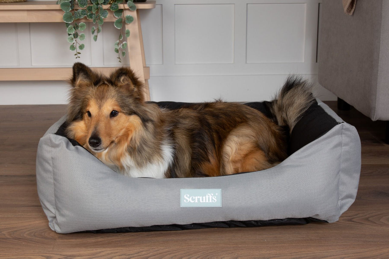 Scruffs Expedition Box Dog Bed - Storm Grey Large