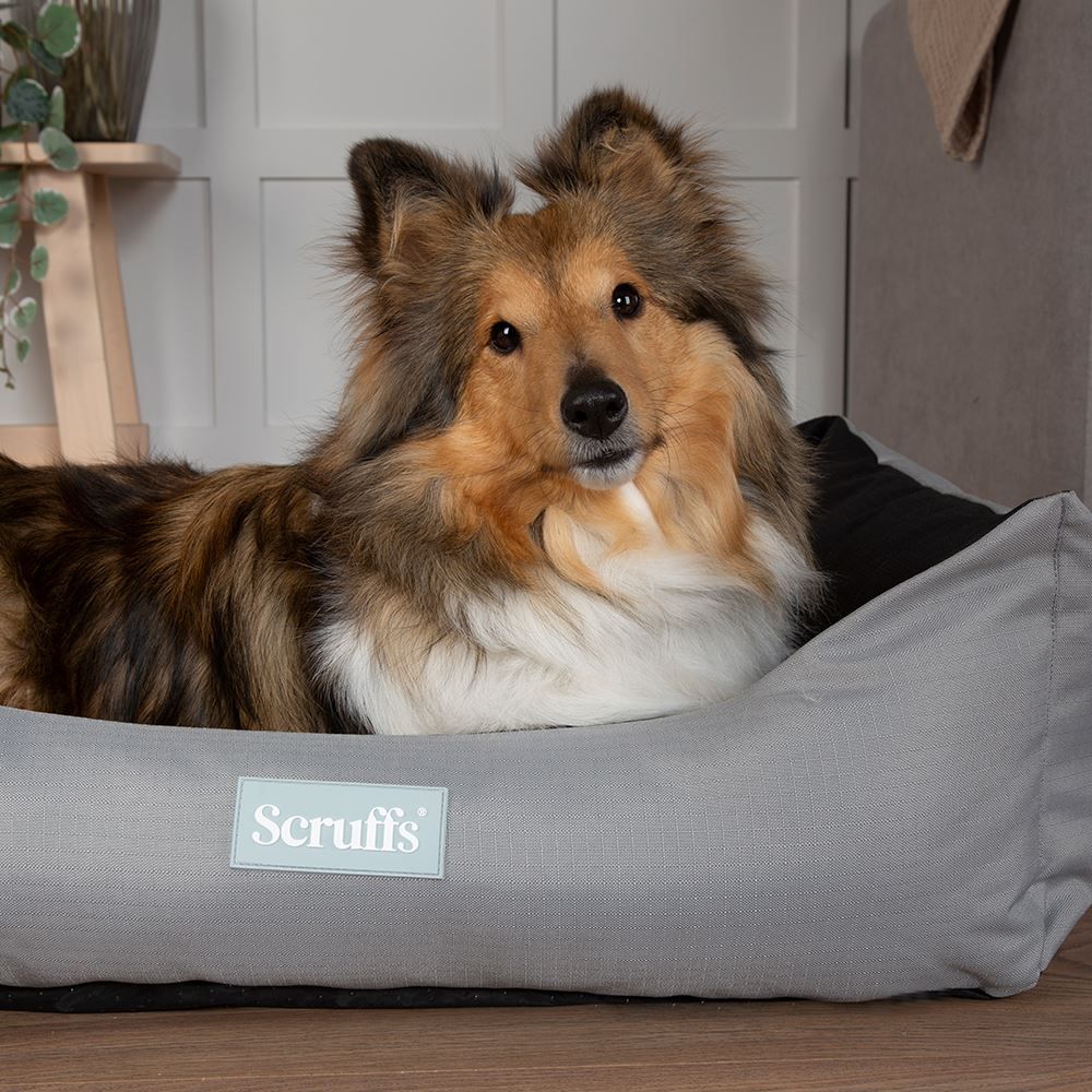 Scruffs Expedition Box Dog Bed - Storm Grey Large