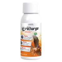 Thumbnail for Falcon Recharge