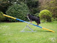 Thumbnail for FCI Agility Professional Teeter (2 parts)