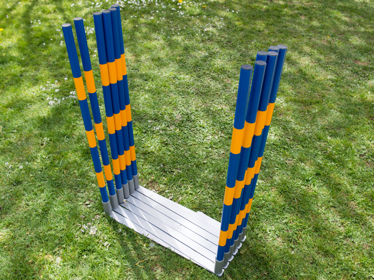 FCI Professional Agility Slalom