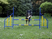 Thumbnail for FCI Professional Metal Hurdle