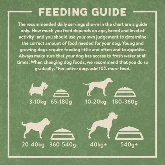 Harringtons Complete Salmon & Potato Adult Dry Dog Food - 18KG
