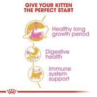 Thumbnail for Feline Breed Nutrition Maine Coon Kitten 2 KG