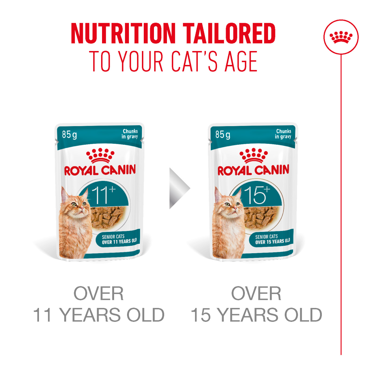 Feline Health Nutrition Ageing 11+ Jelly (Wet Food - Pouches) 12 x 85 g