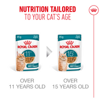 Feline Health Nutrition Ageing 11+ Jelly (Wet Food - Pouches) 12 x 85 g