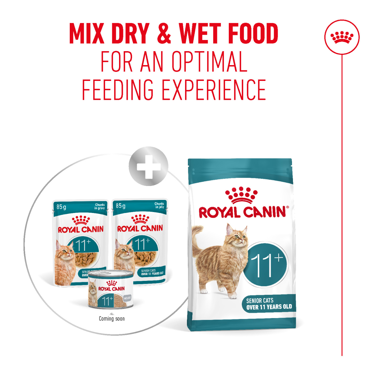Feline Health Nutrition Ageing 11+ Jelly (Wet Food - Pouches) 12 x 85 g