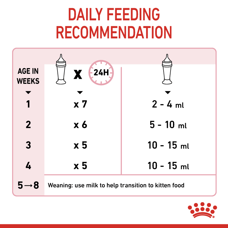 Feline Health Nutrition Babycat Milk 300g - market
