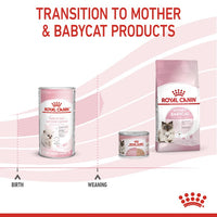 Feline Health Nutrition Babycat Milk 300g - market