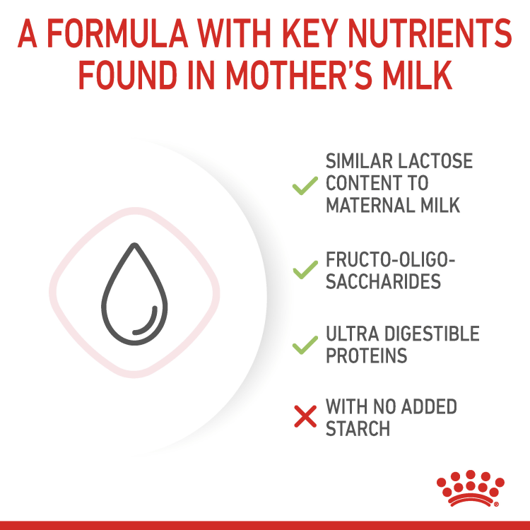 Feline Health Nutrition Babycat Milk 300g - market