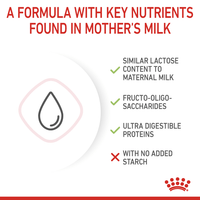 Feline Health Nutrition Babycat Milk 300g - market