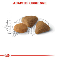 Feline Health Nutrition Exigent Savour 2 KG